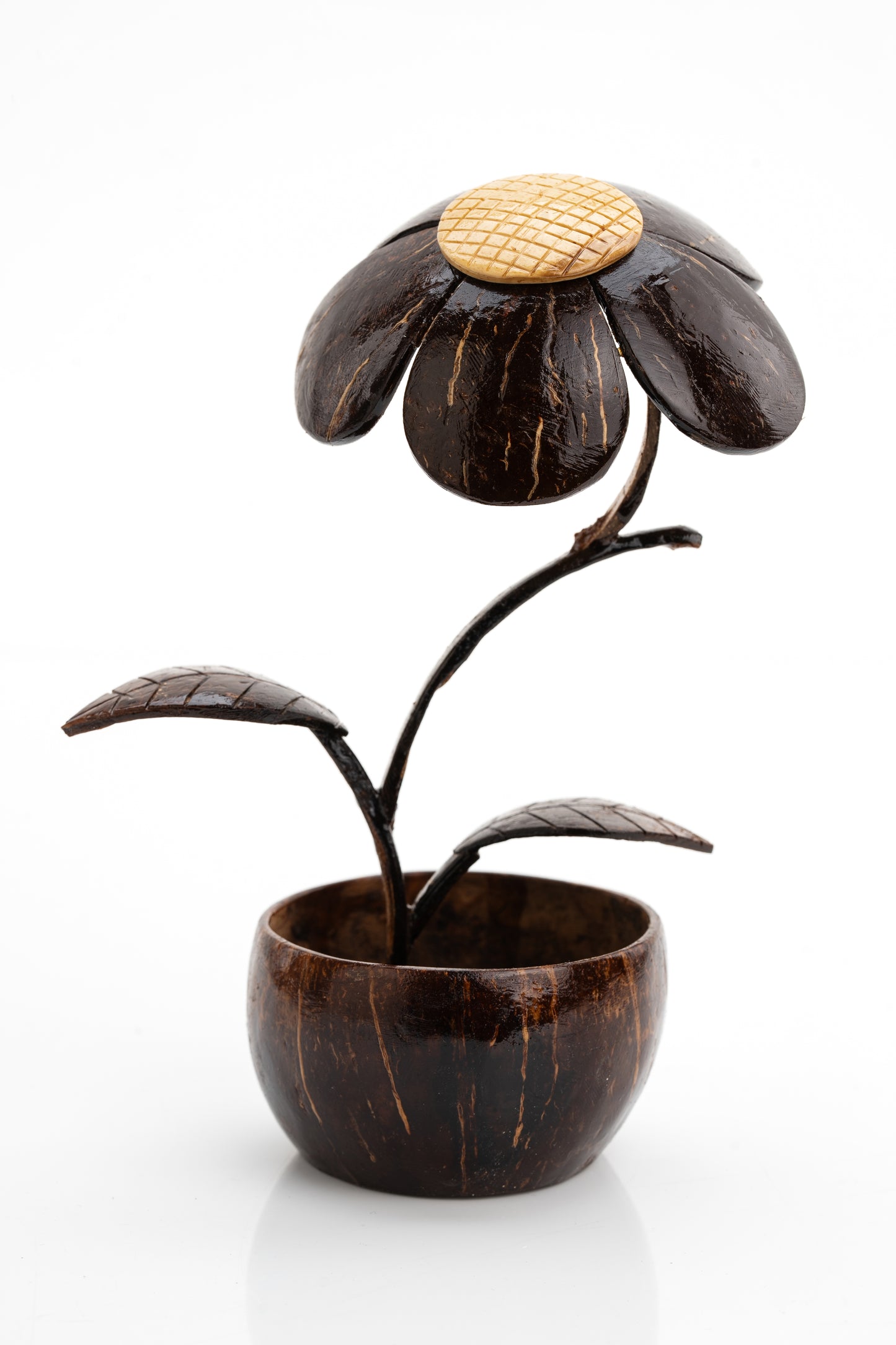 Eco-Friendly Coconut Shell Flower Décor