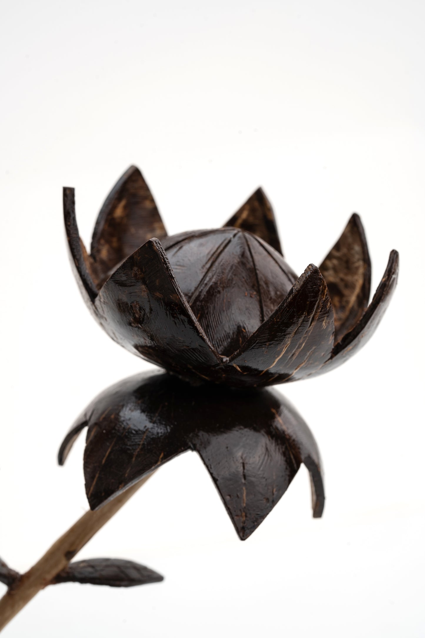 Handcrafted Coconut Shell Lotus Blossom
