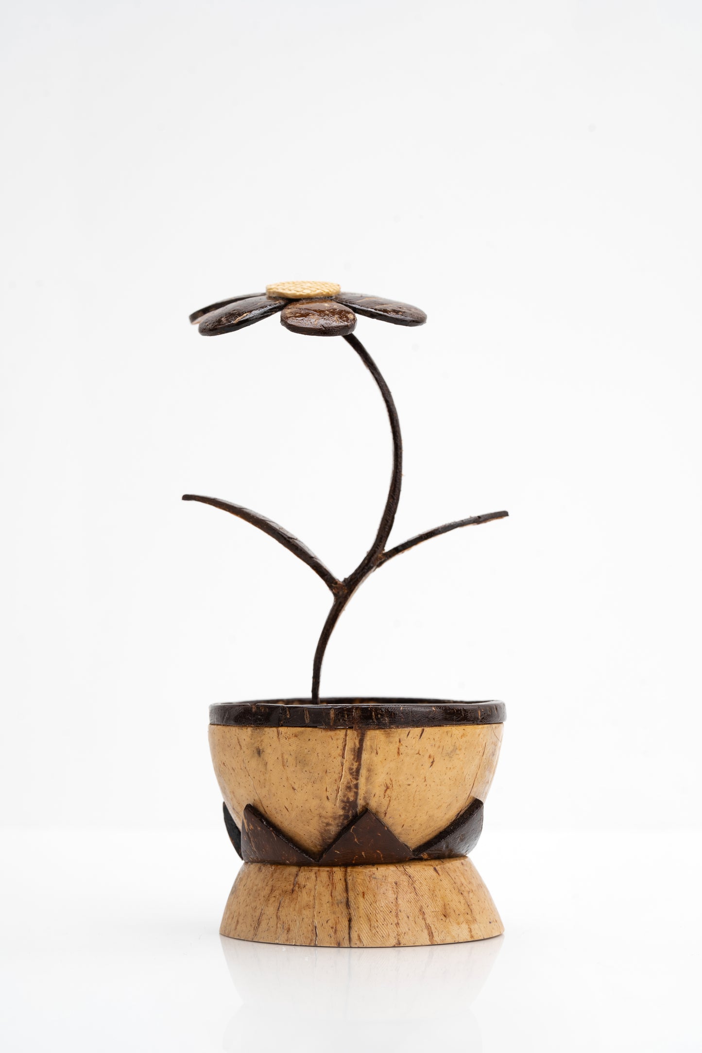 Handcrafted Coconut Shell Flower Pot