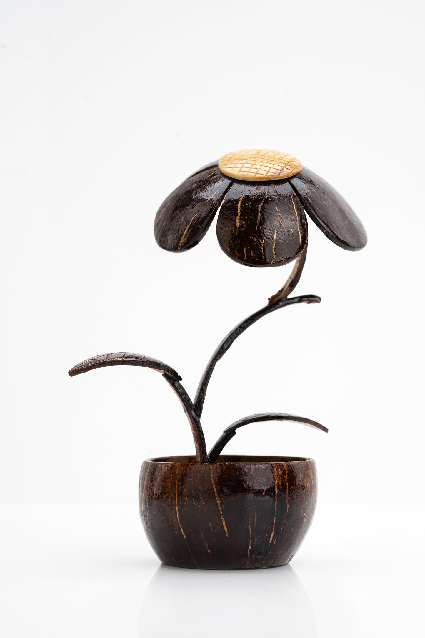 Eco-Friendly Coconut Shell Flower Décor
