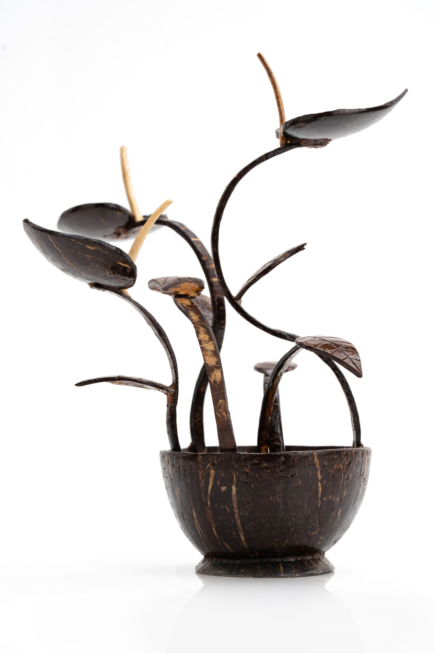 Handcrafted Coconut Shell Betel Leaf Plant