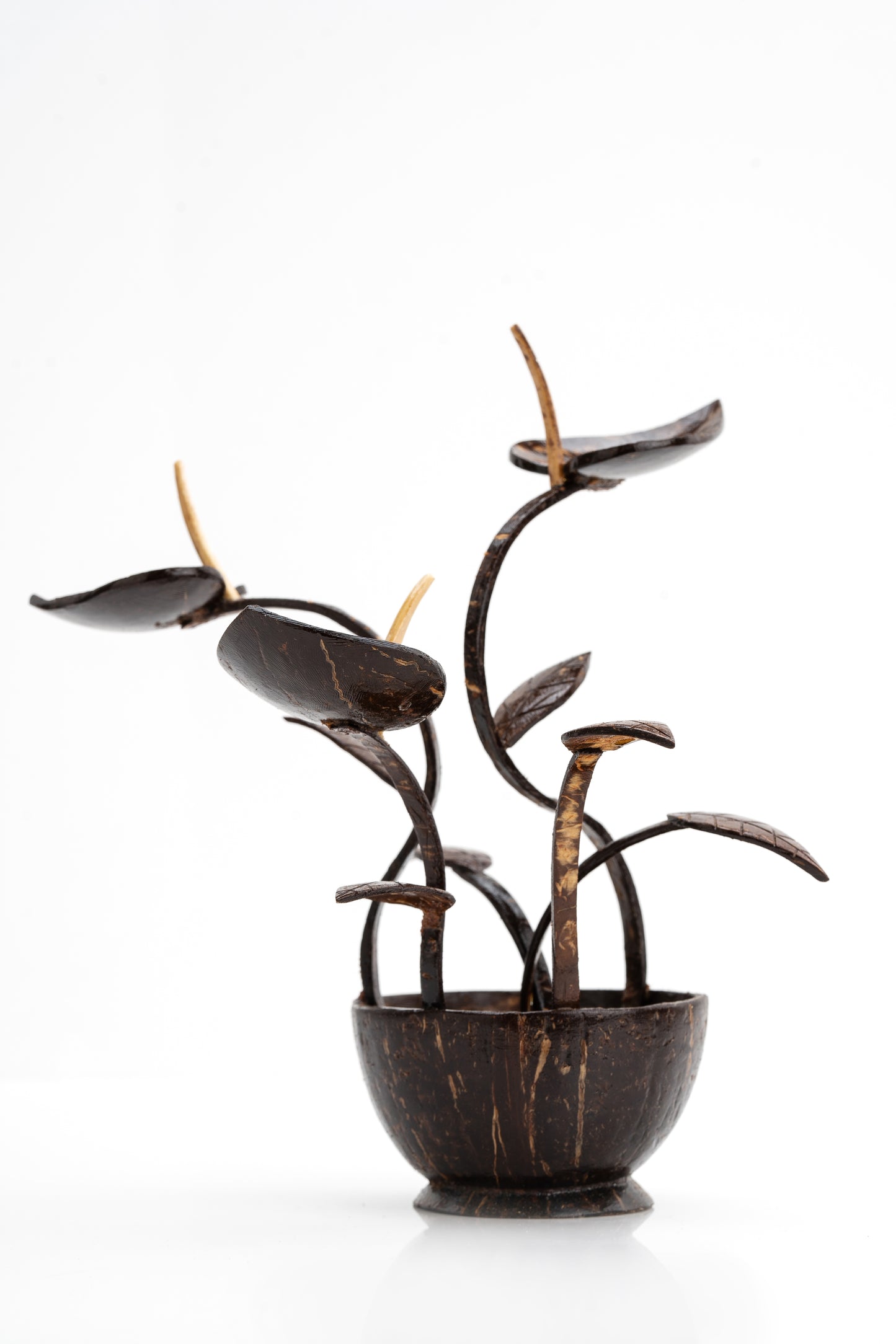 Handcrafted Coconut Shell Betel Leaf Plant