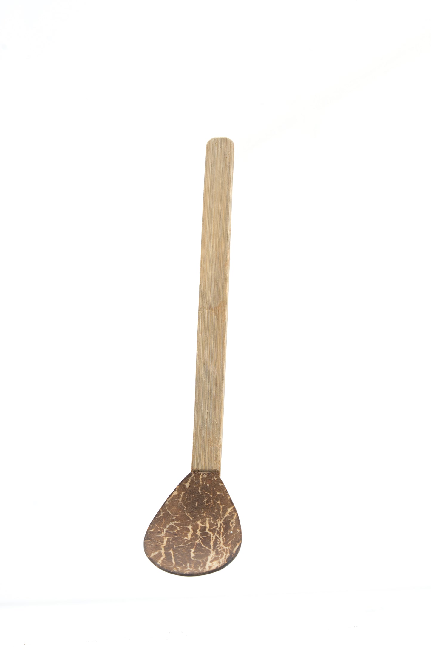 Handcrafted Coconut Shell Serving Spoon