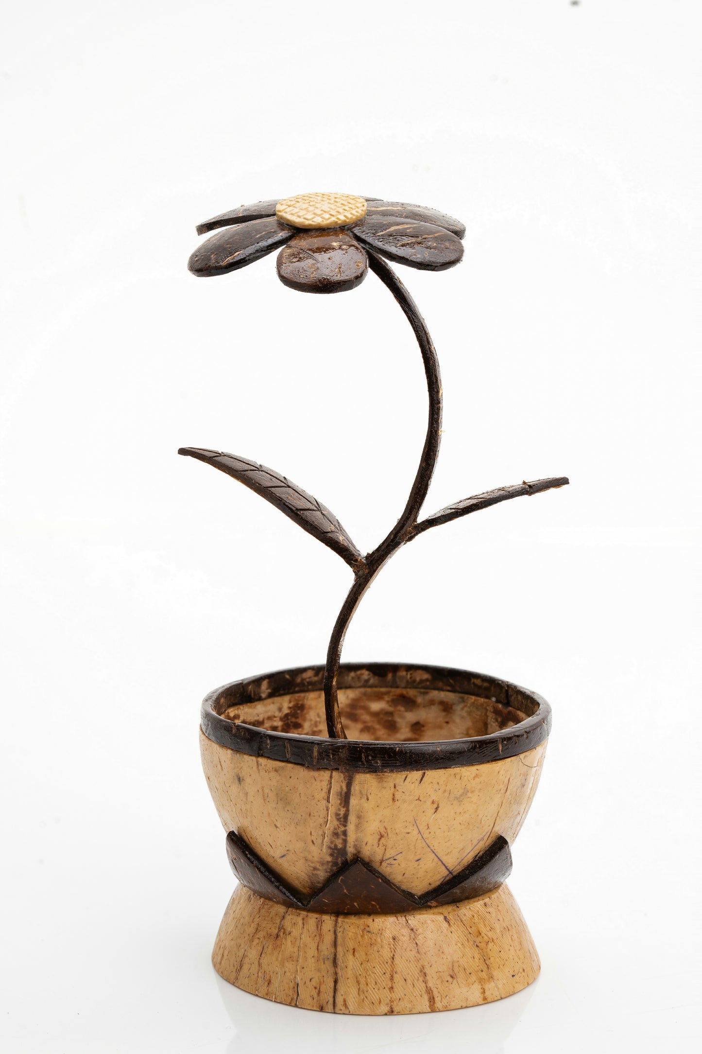 Handcrafted Coconut Shell Flower Pot