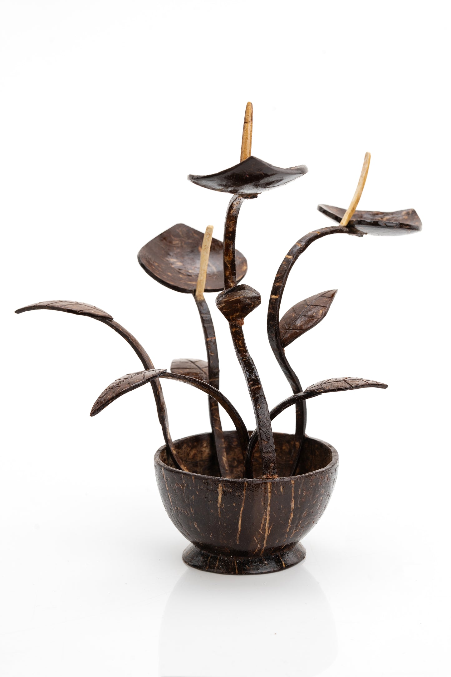 Handcrafted Coconut Shell Betel Leaf Plant