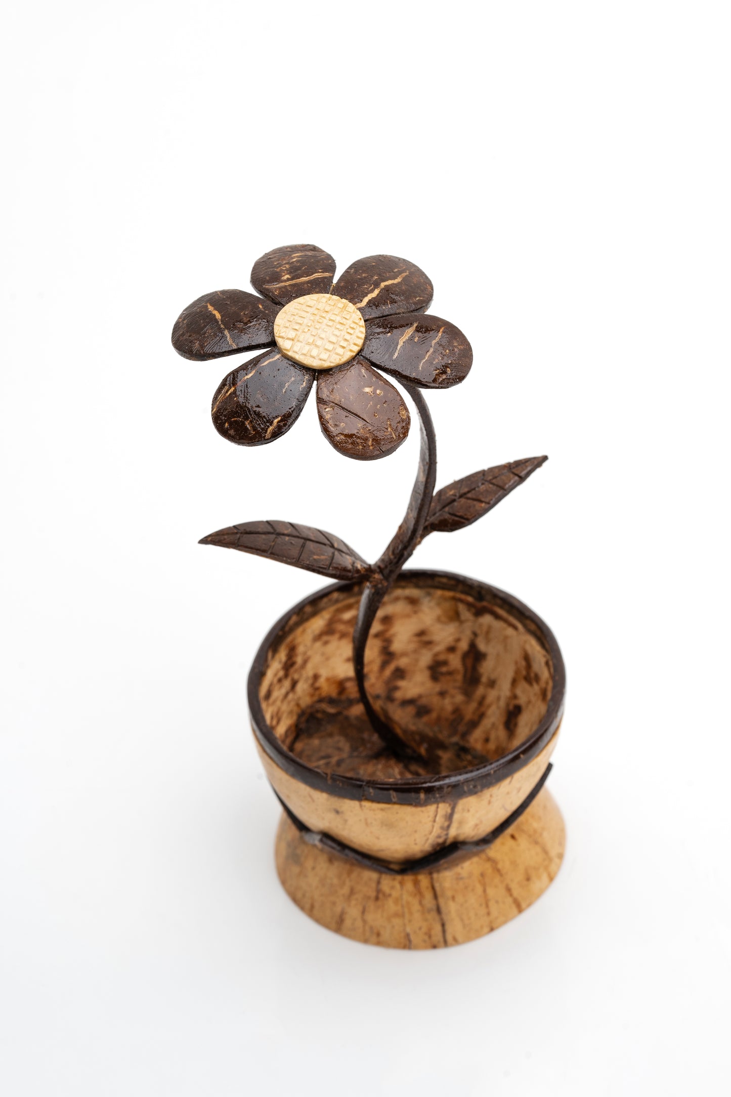 Handcrafted Coconut Shell Flower Pot