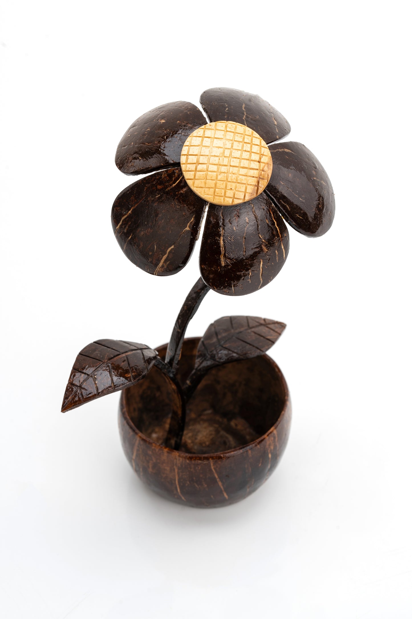 Eco-Friendly Coconut Shell Flower Décor