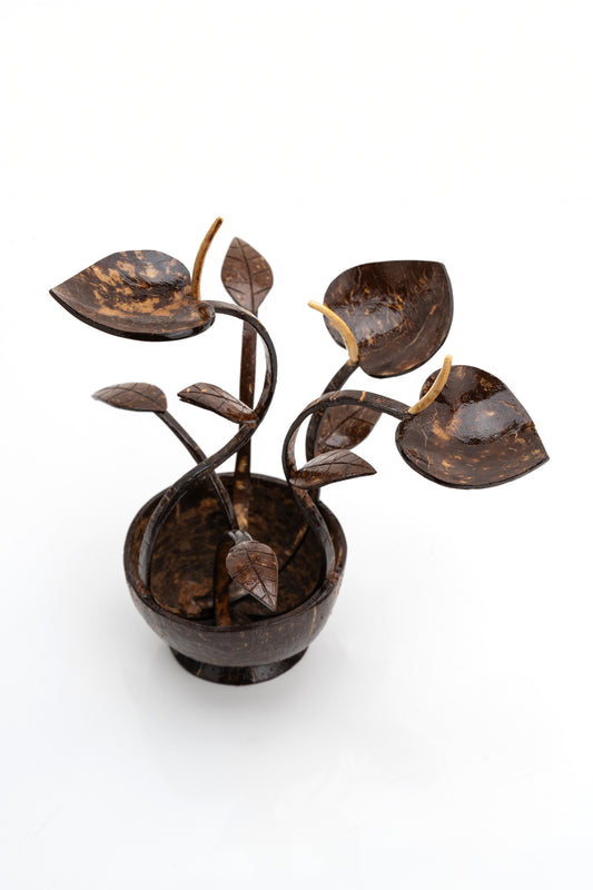 Handcrafted Coconut Shell Betel Leaf Plant