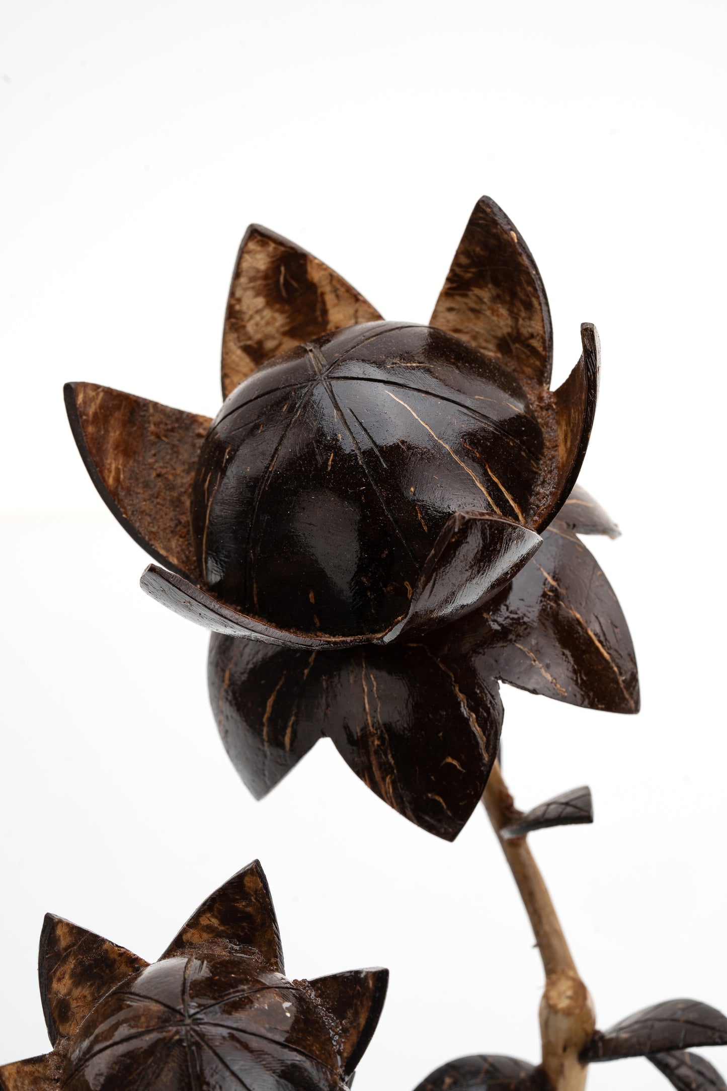 Handcrafted Coconut Shell Lotus Blossom